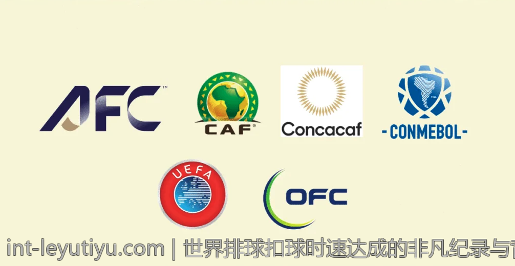 乐鱼app的安全性与隐私保护